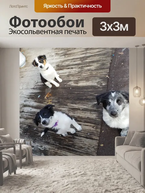 Фотообои 3 амиго делают &amp; 039; сидят &amp; 03
