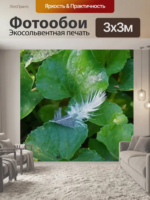 Фотообои Перо