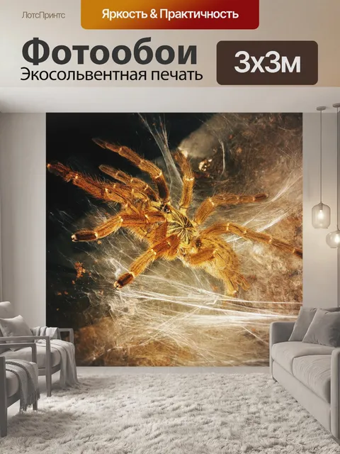 Фотообои Птичий паук