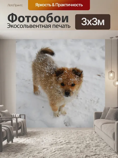 Фотообои Щенок