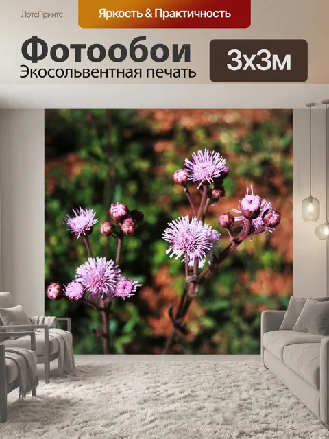 Фотообои Розовый чертополох