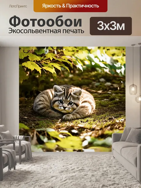 Фотообои камера запечатлела мирную сцену: манул