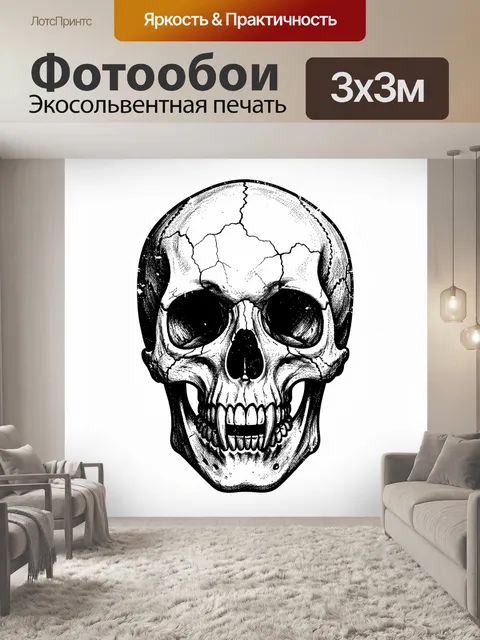 Фотообои Анатомический череп в графике