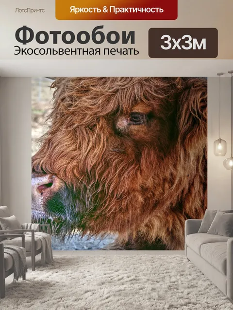 Фотообои Красный горный руль