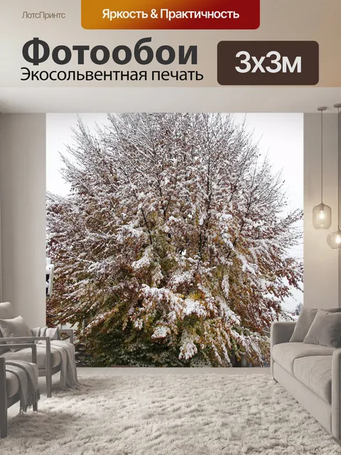 Фотообои Дерево