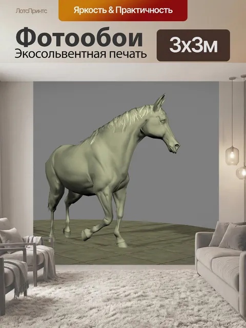 Фотообои Арабская лошадь