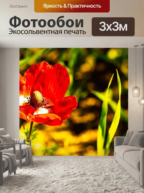 Фотообои Мак