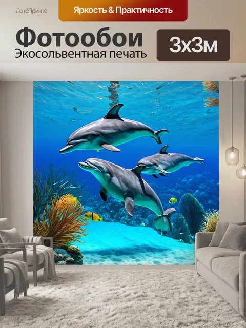 Фотообои египет, где показан мир дельфинчиков и рыб в кристально чистой воде красного моря
