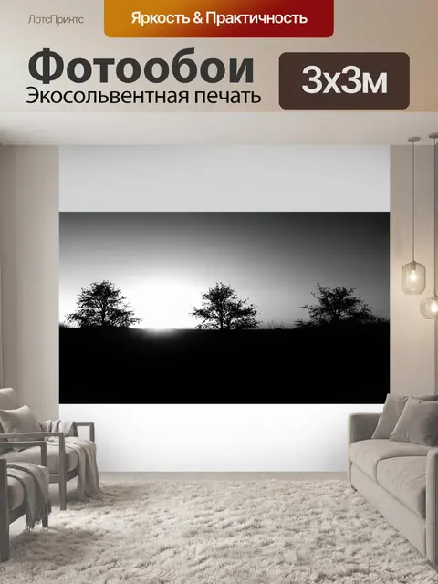 Фотообои минималистический черно-белый пейзаж с силуэтами деревьев на фоне заката