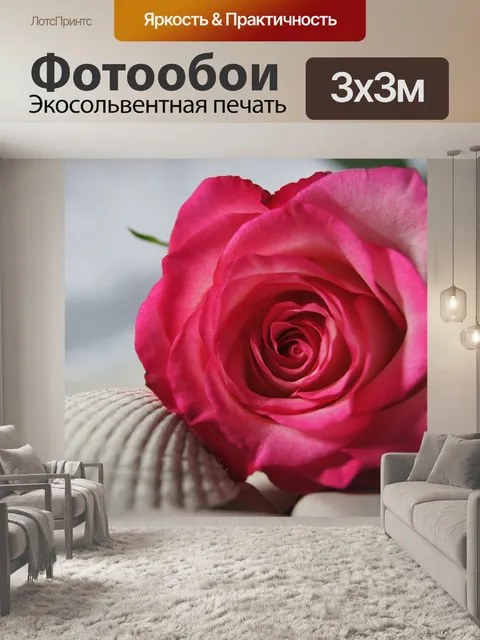 Фотообои Оболочка