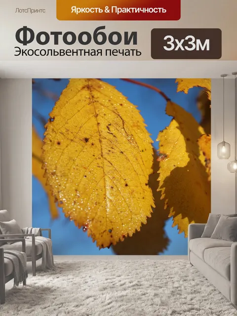 Фотообои Желтые листья
