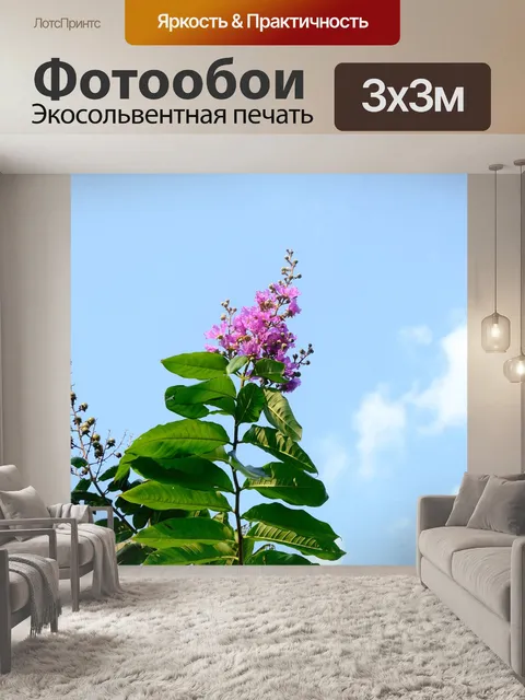 Фотообои Цветок