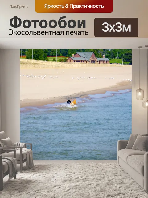 Фотообои Собаки играют в Surf