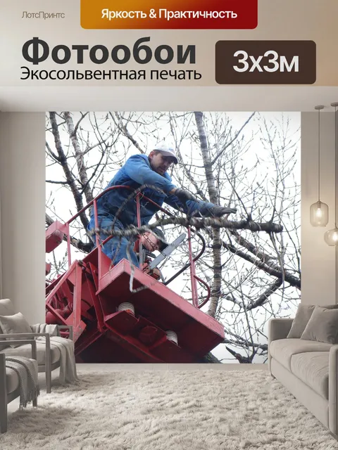 Фотообои Спил