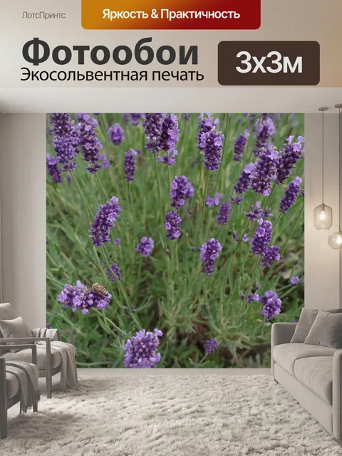 Фотообои Лаванда