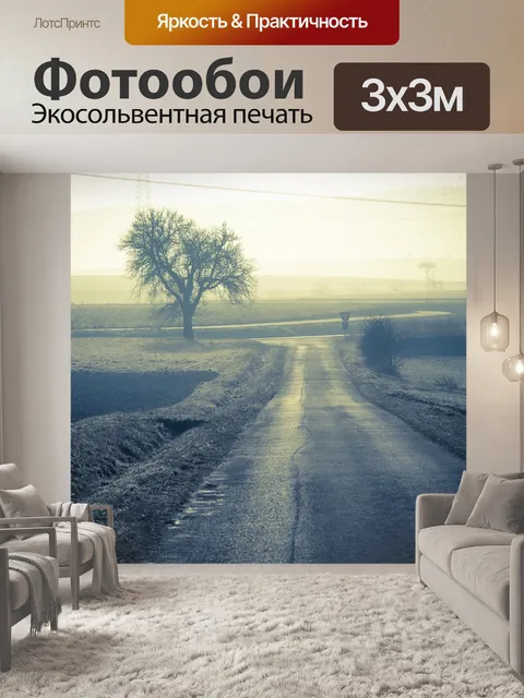 Фотообои Лесная тропа