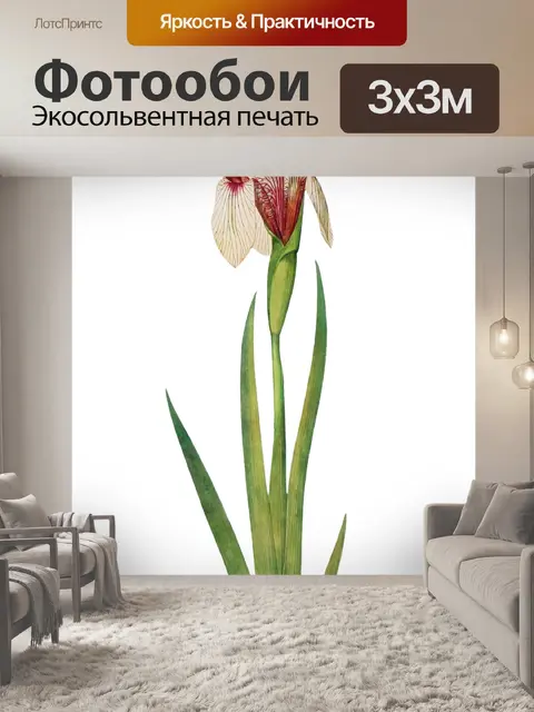 Фотообои Винтажный клипарт цветок ириса