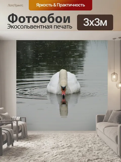 Фотообои Лебедь