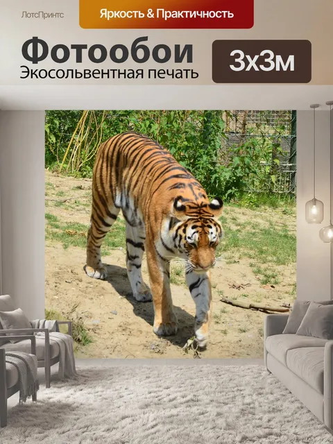 Фотообои Тигр