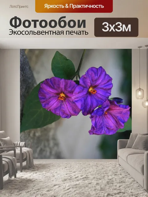 Фотообои три куста картофеля цветы