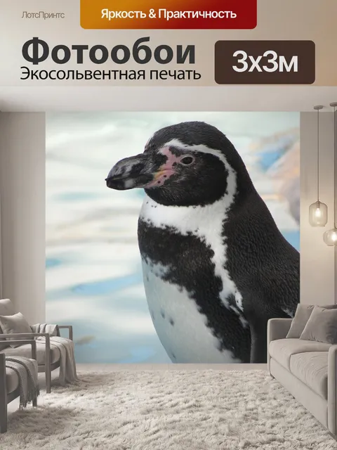 Фотообои Пингвин