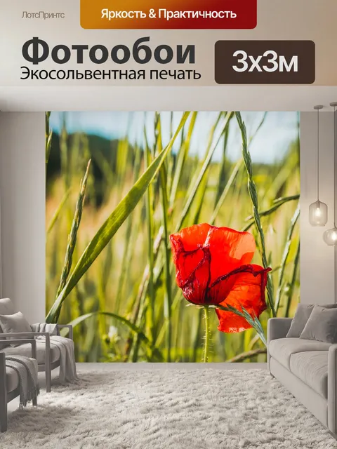 Фотообои Маки
