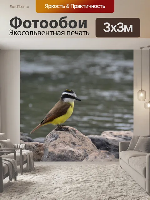 Фотообои Птичка