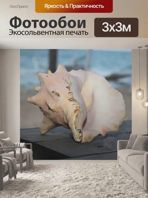 Фотообои Раковина