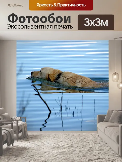 Фотообои Собака