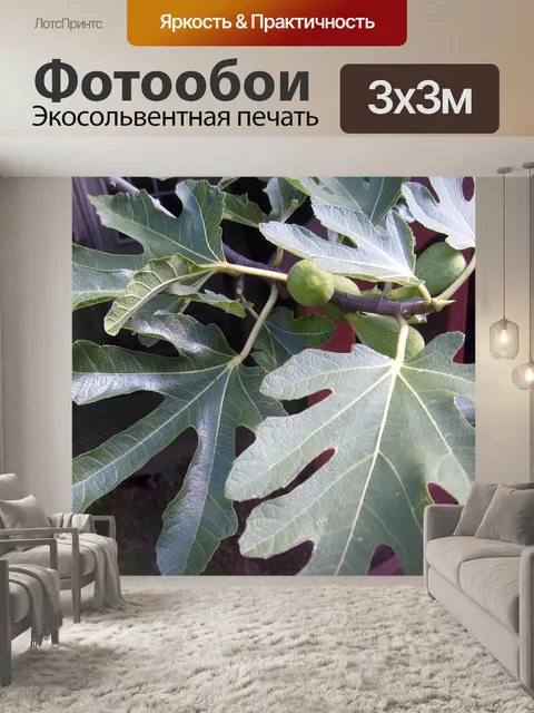Фотообои Фиговых листьев