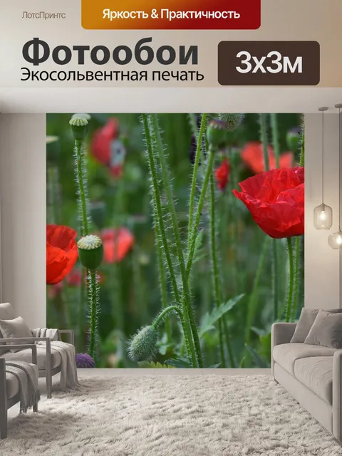 Фотообои Весенняя цветочная выставка 13