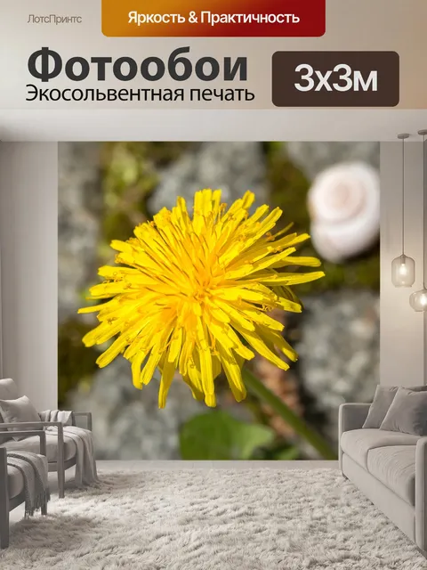 Фотообои Одуванчик