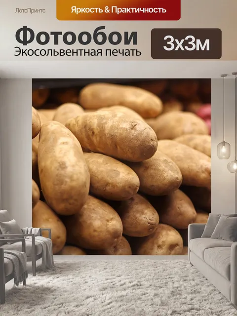 Фотообои Картофель