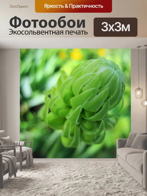 Фотообои кластер бутонов