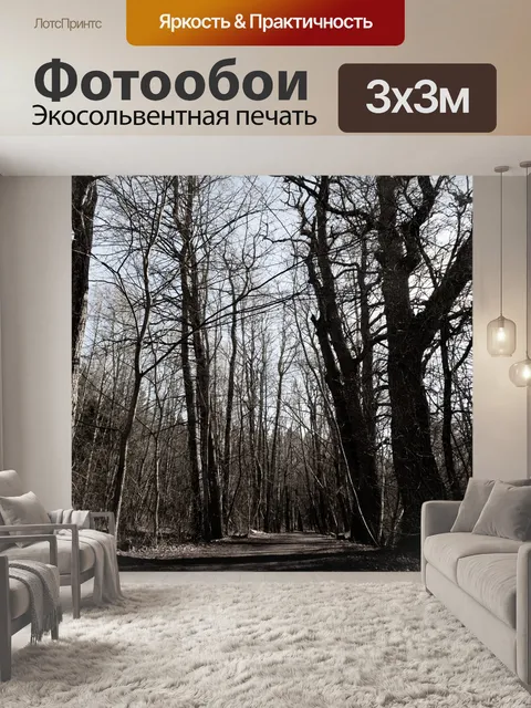 Фотообои Волшебный лес