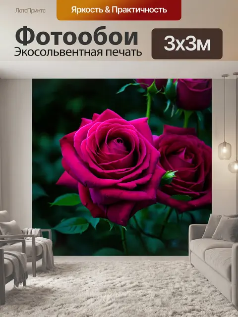 Фотообои розы в стиле тонализма, ассиметрия как прием, позволяющий выделить каждую деталь