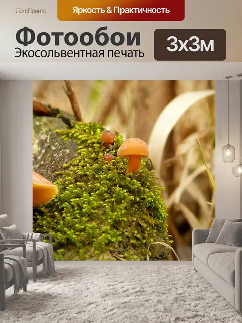 Фотообои Природа