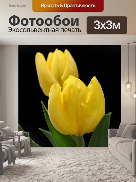 Фотообои Два желтых тюльпана на черном