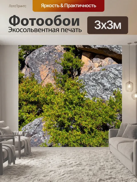 Фотообои природа в стиле модернизм, контрастные текстуры камней и растительности, высокая детализация