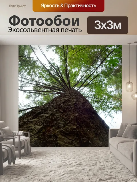 Фотообои в виде дерева
