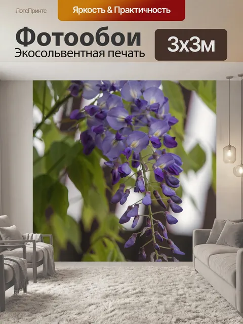 Фотообои Глициния
