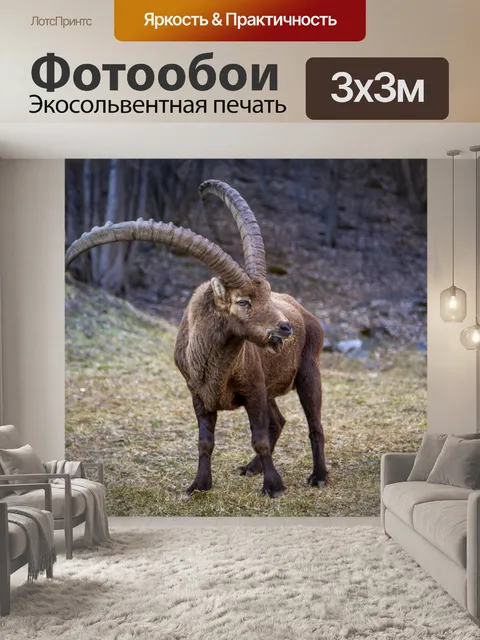 Фотообои Дикий альпийский козерог