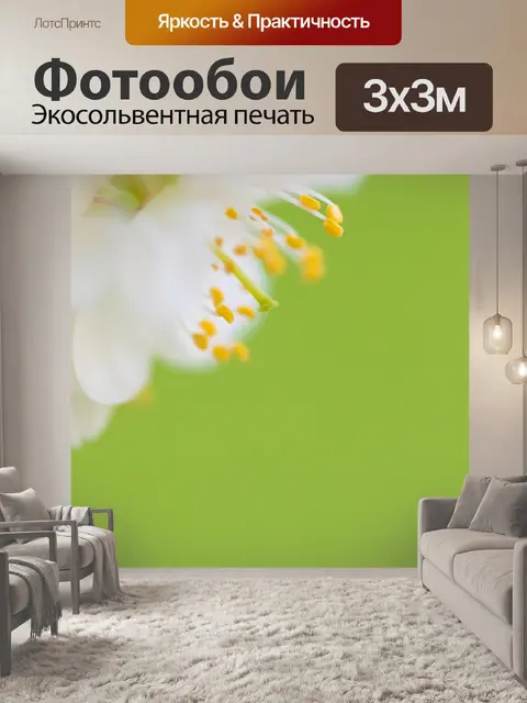 Фотообои белые вишневые цветы