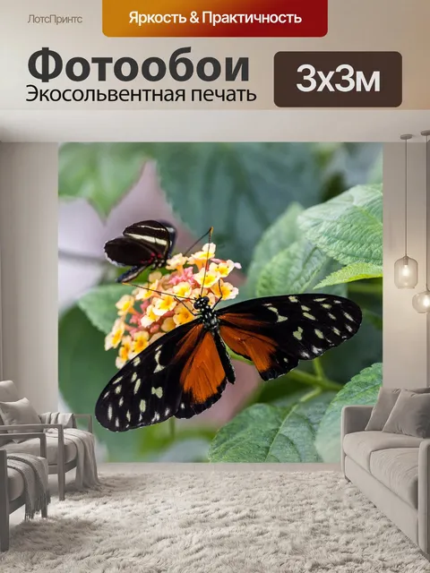Фотообои Helilonius hecale