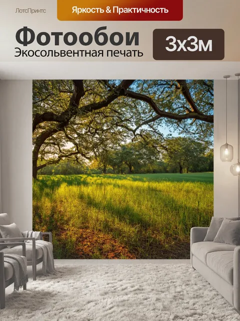 Фотообои поле, окруженное старыми деревьями и ветвями, образующими естественные тени