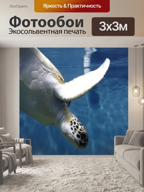 Фотообои Морская черепаха
