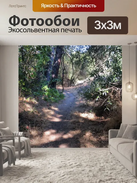 Фотообои Путь в лесах 84