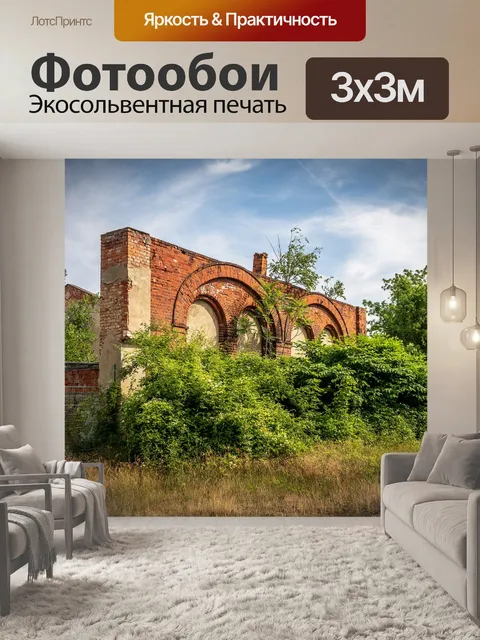 Фотообои Разорение