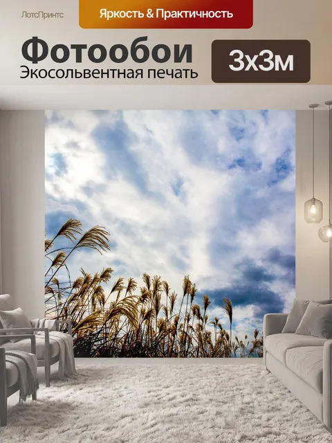 Фотообои Небо