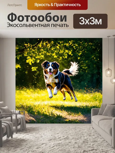 Фотообои прыгающая собака, бернский зенненхунд, на фоне зелёного леса, солнечные лучи проникают сквозь листву…